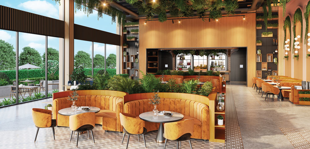 Large Multipurpose Lawn