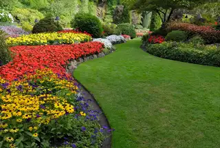 Landscape Garden