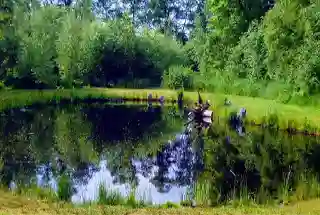 Natural Water Pond Quarry